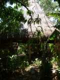 Nicaragua : Un habitat écologique dans un havre de verdure